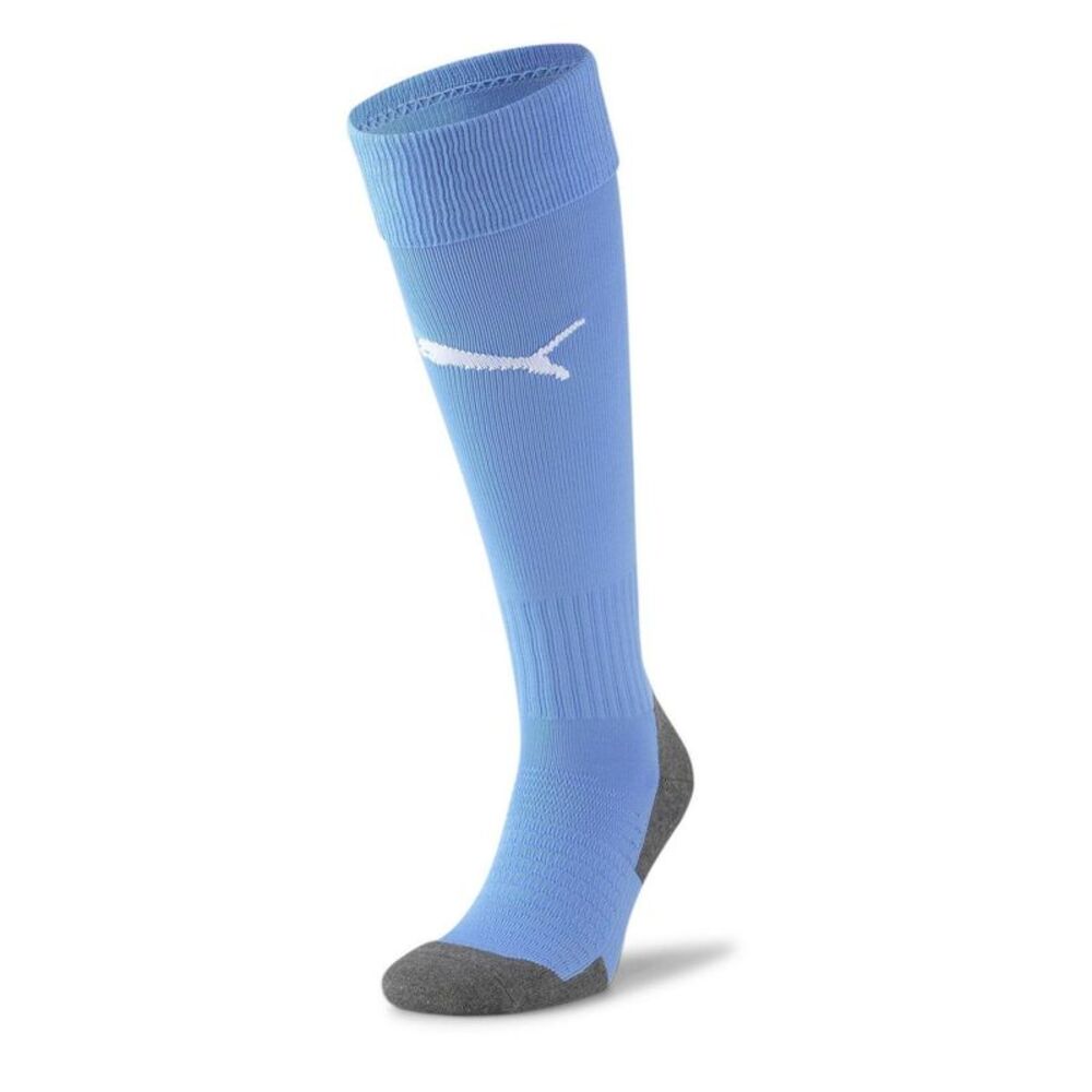 Puma Childrens/Kids Team LIGA Core Football Socks / Blue/White